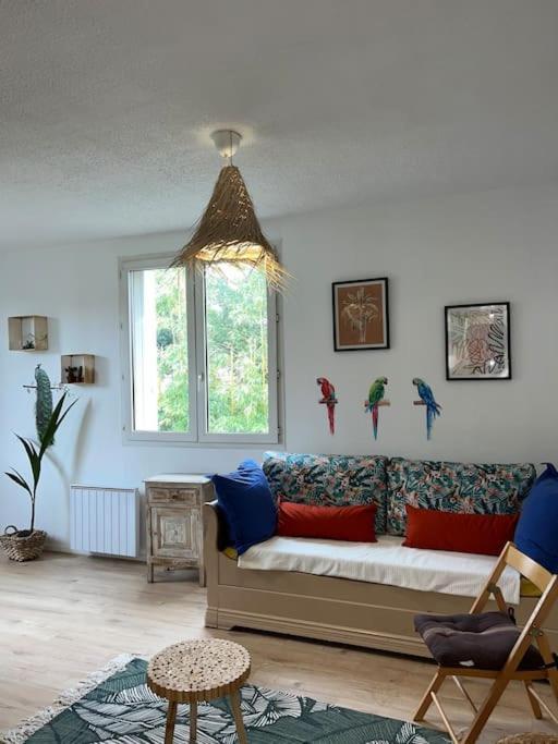 אביניון Appartement Balinais Lumineux Et Calme מראה חיצוני תמונה