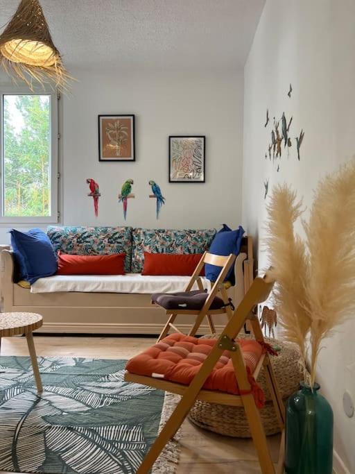אביניון Appartement Balinais Lumineux Et Calme מראה חיצוני תמונה